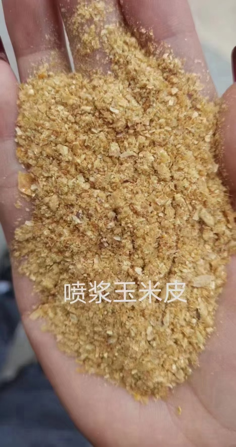 喷浆玉米皮玉米酒糟玉米蛋白粉玉米白皮适用于养殖饲料