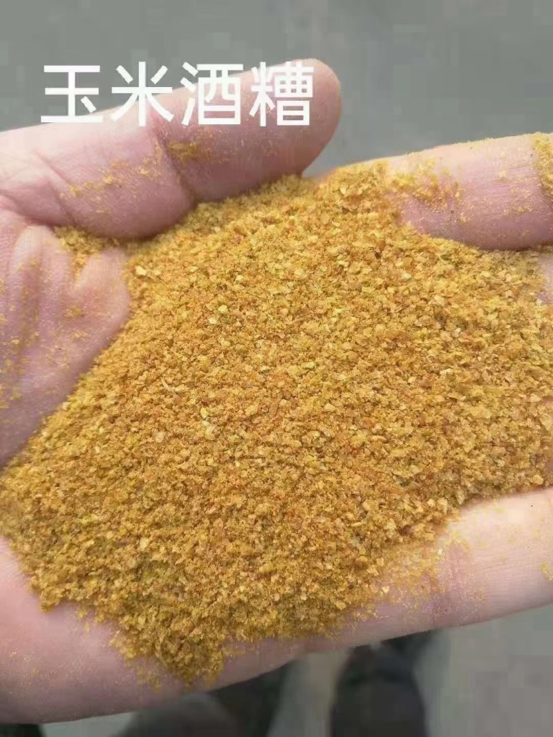喷浆玉米皮玉米酒糟玉米蛋白粉玉米白皮适用于养殖饲料