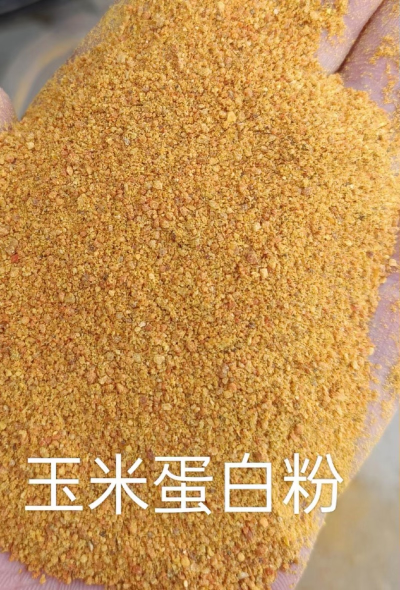 喷浆玉米皮玉米酒糟玉米蛋白粉玉米白皮适用于养殖饲料