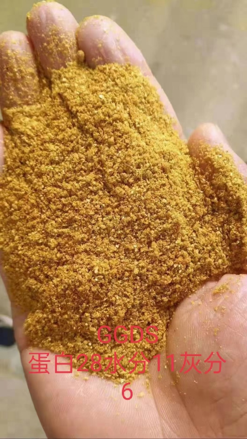 喷浆玉米皮玉米酒糟玉米蛋白粉玉米白皮适用于养殖饲料