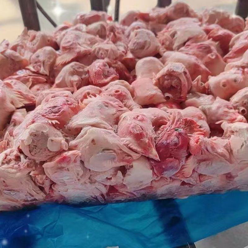 肉鸡头