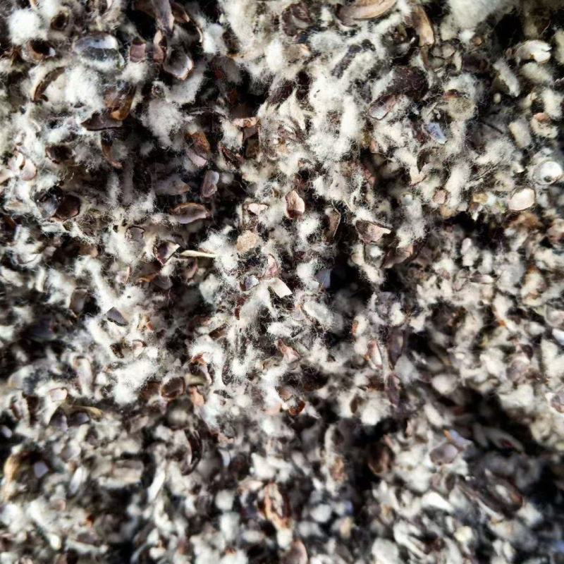 新疆棉籽壳一手货源中壳中绒保证质量全国发货