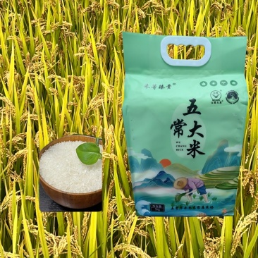 【优质产品】五常大米品质保证产地直供