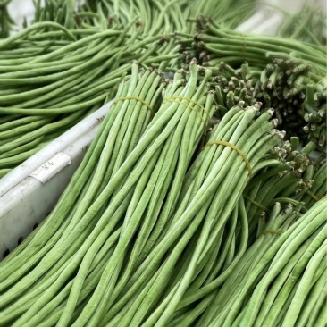 豆角长豆角上市了量大价优欢迎选购运输便利诚信为本