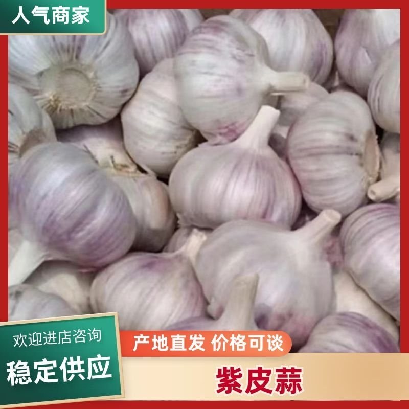 山东大蒜紫皮蒜保质保量全国物流发货