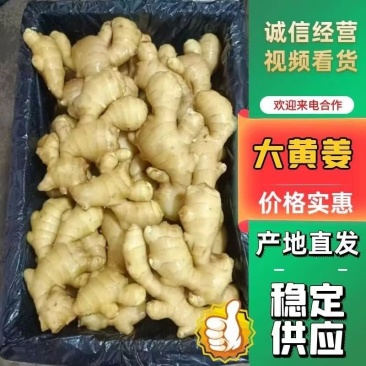 山东大黄姜基地直发一手货源低价对接全国市场