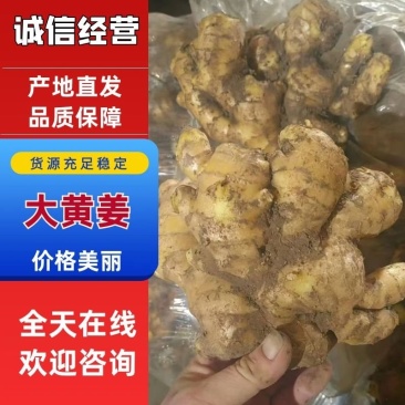 精品大黄姜山东大黄姜产地直发一手货源量大从优