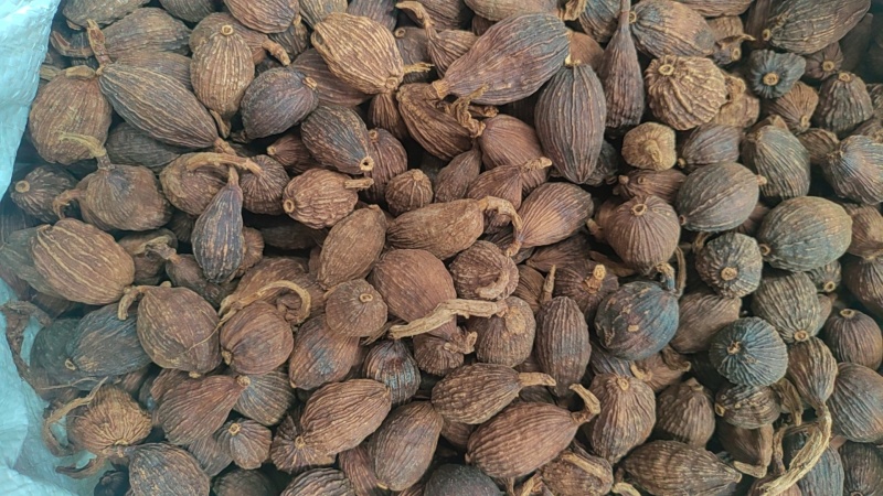 云南草果香料卤料