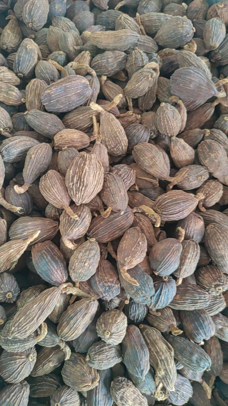 云南草果香料卤料