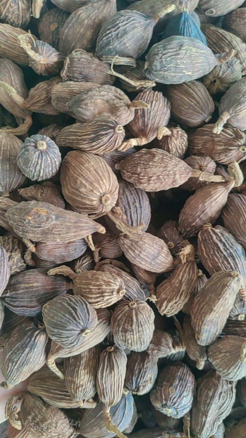 云南草果香料卤料