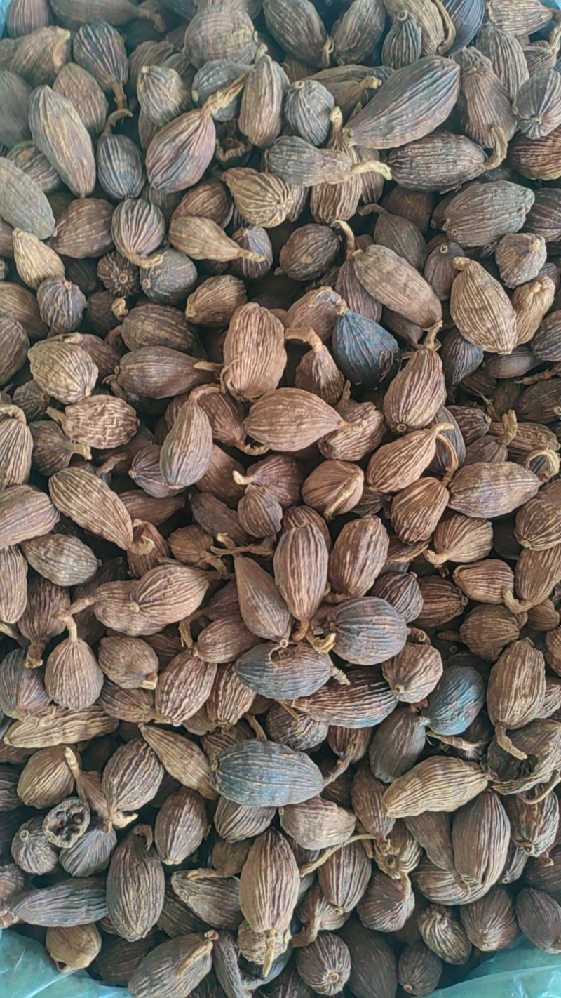 云南草果香料卤料