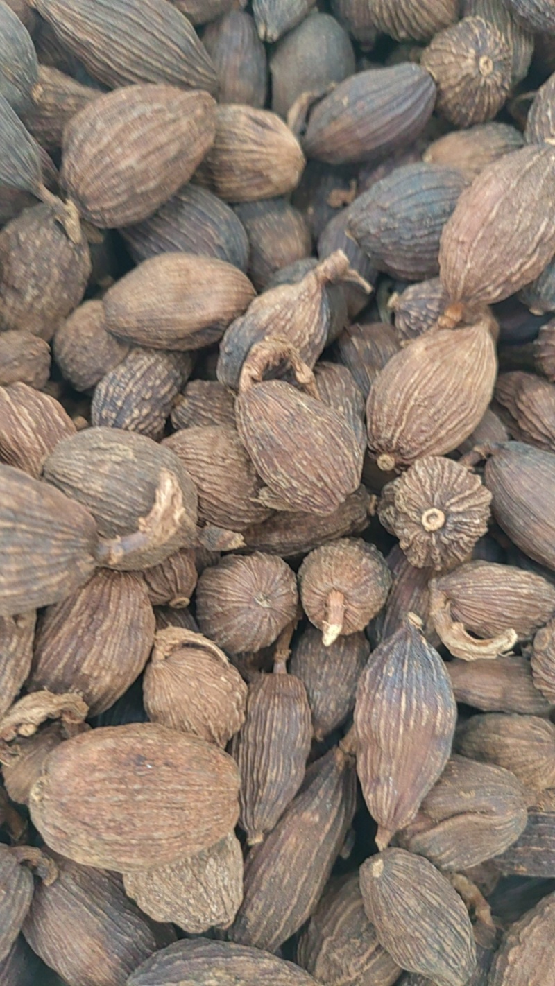 云南草果香料卤料