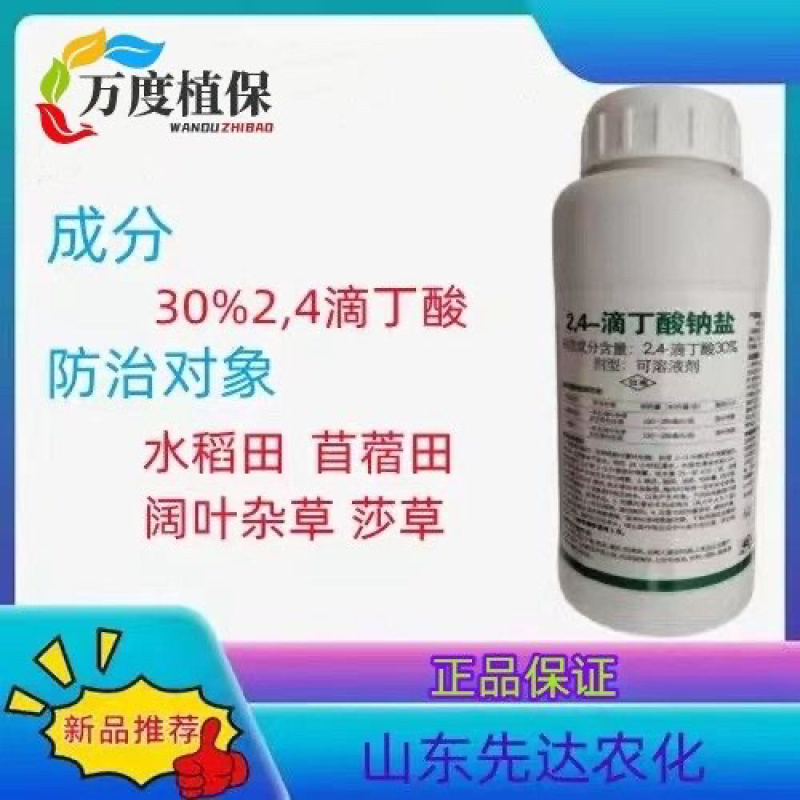 莎阔佳苜蓿和水稻田双登记除草剂专杀阔叶及莎草科杂草