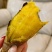 榴莲蜜薯高山黄金蜜薯玛莎莉高端红薯丝滑软糯5斤装
