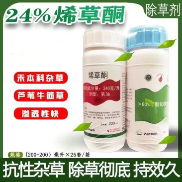 烯草酮24%助剂冰草芦苇茅草早熟禾菵草马唐一年生禾本科杂草