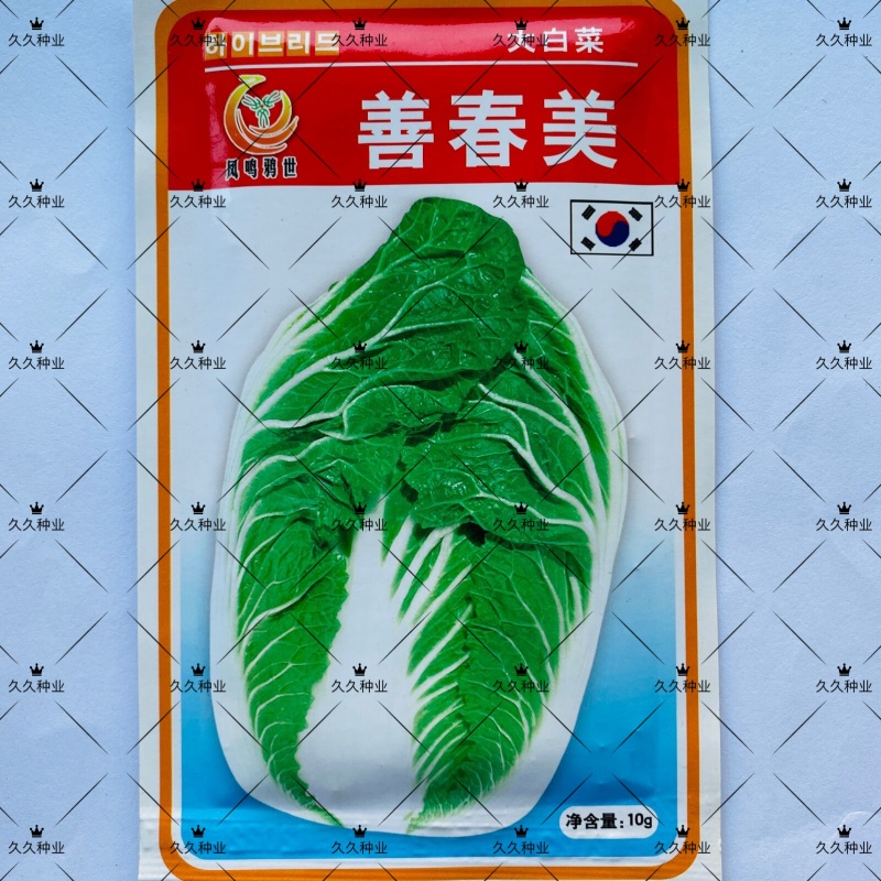 善春美大白菜种子早熟高产黄心白菜种籽春季夏秋季耐抽薹蔬菜
