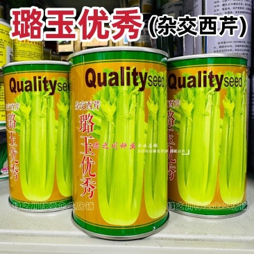 璐玉**杂交西芹种子黄绿色芹菜种子进口杂交大西芹种籽