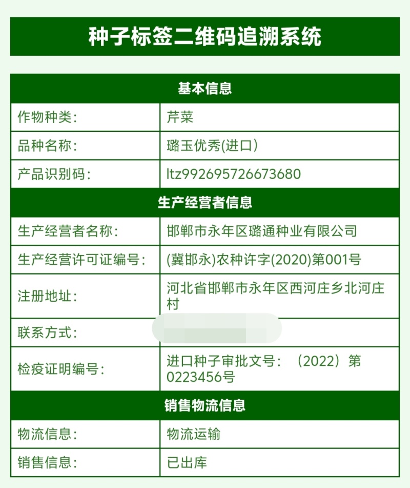 璐玉**杂交西芹种子黄绿色芹菜种子进口杂交大西芹种籽