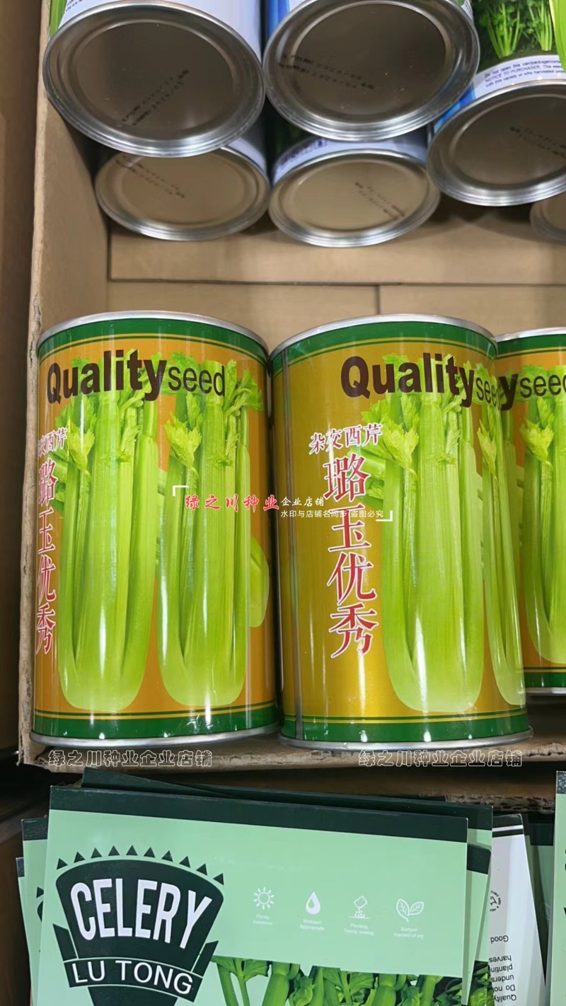 璐玉**杂交西芹种子黄绿色芹菜种子进口杂交大西芹种籽