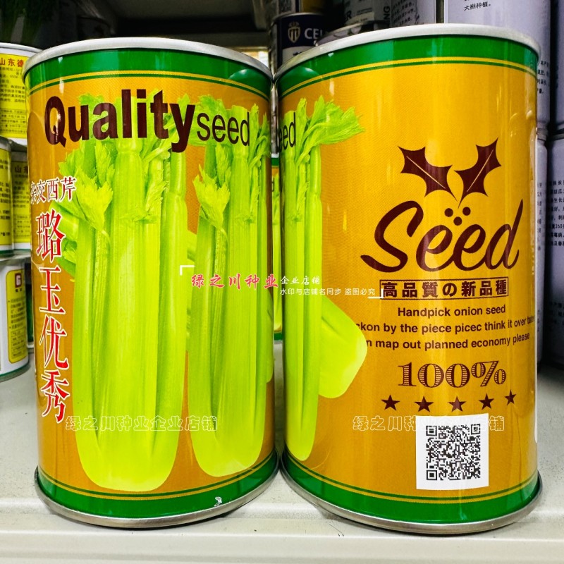 璐玉**杂交西芹种子黄绿色芹菜种子进口杂交大西芹种籽