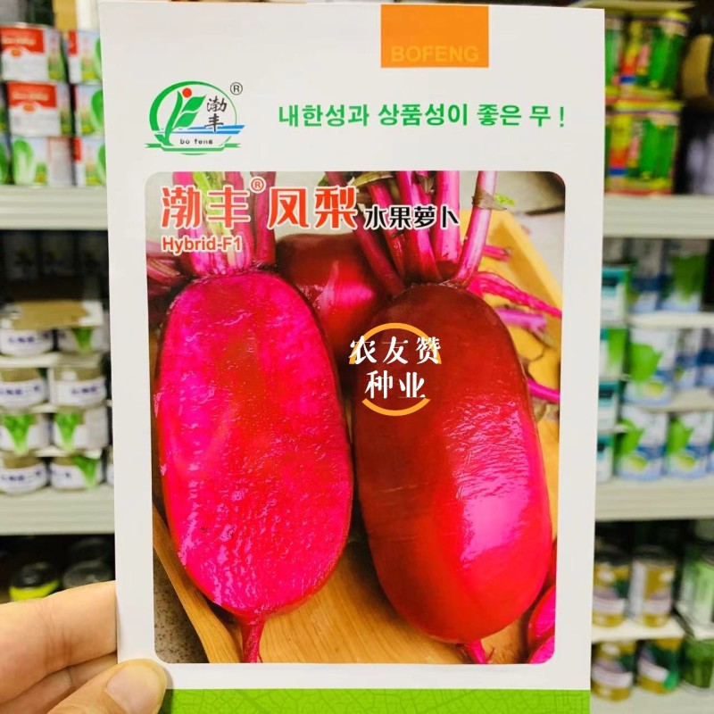 凤梨萝卜种子水果萝卜种子脆甜杂交红皮红肉萝卜种籽秋季