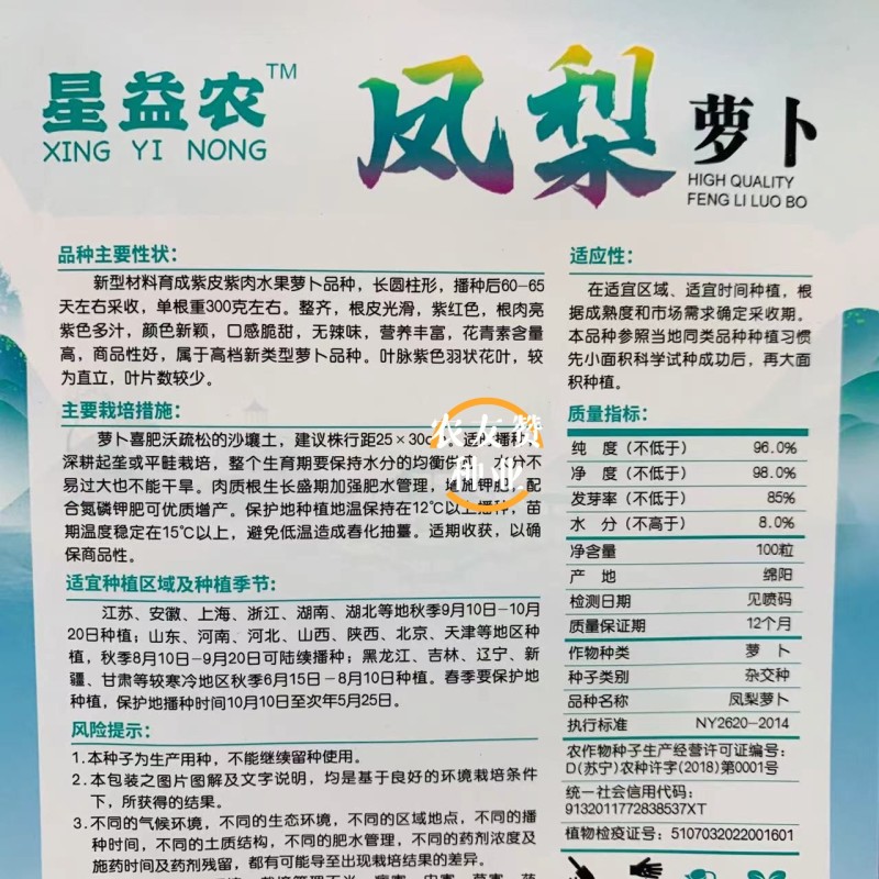 凤梨萝卜种子水果萝卜种子脆甜杂交红皮红肉萝卜种籽秋季