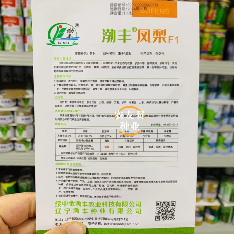凤梨萝卜种子水果萝卜种子脆甜杂交红皮红肉萝卜种籽秋季