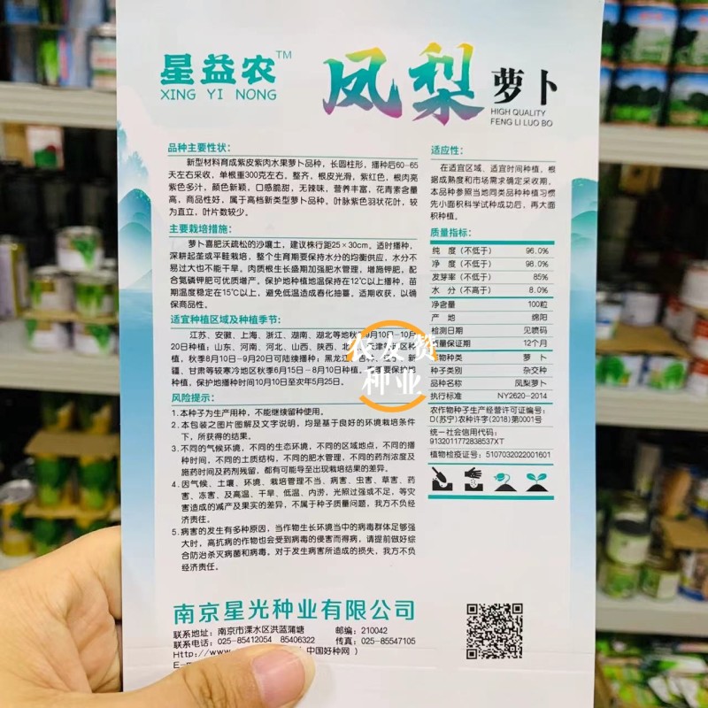 凤梨萝卜种子水果萝卜种子脆甜杂交红皮红肉萝卜种籽秋季