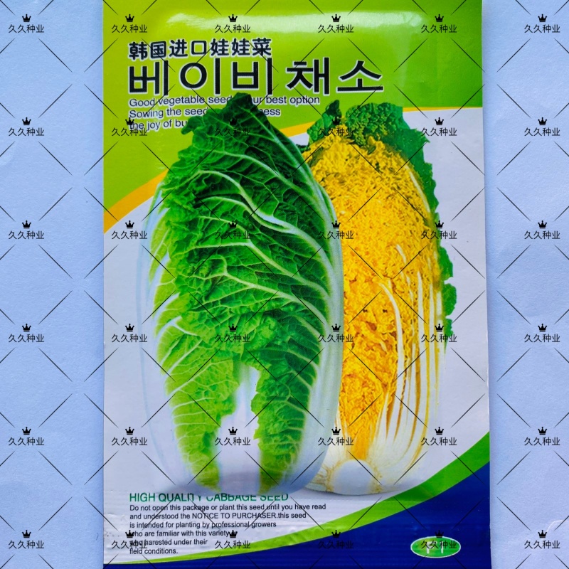韩国进口黄心娃娃菜种子耐热耐雨夏贝贝娃娃菜白菜种籽四季蔬