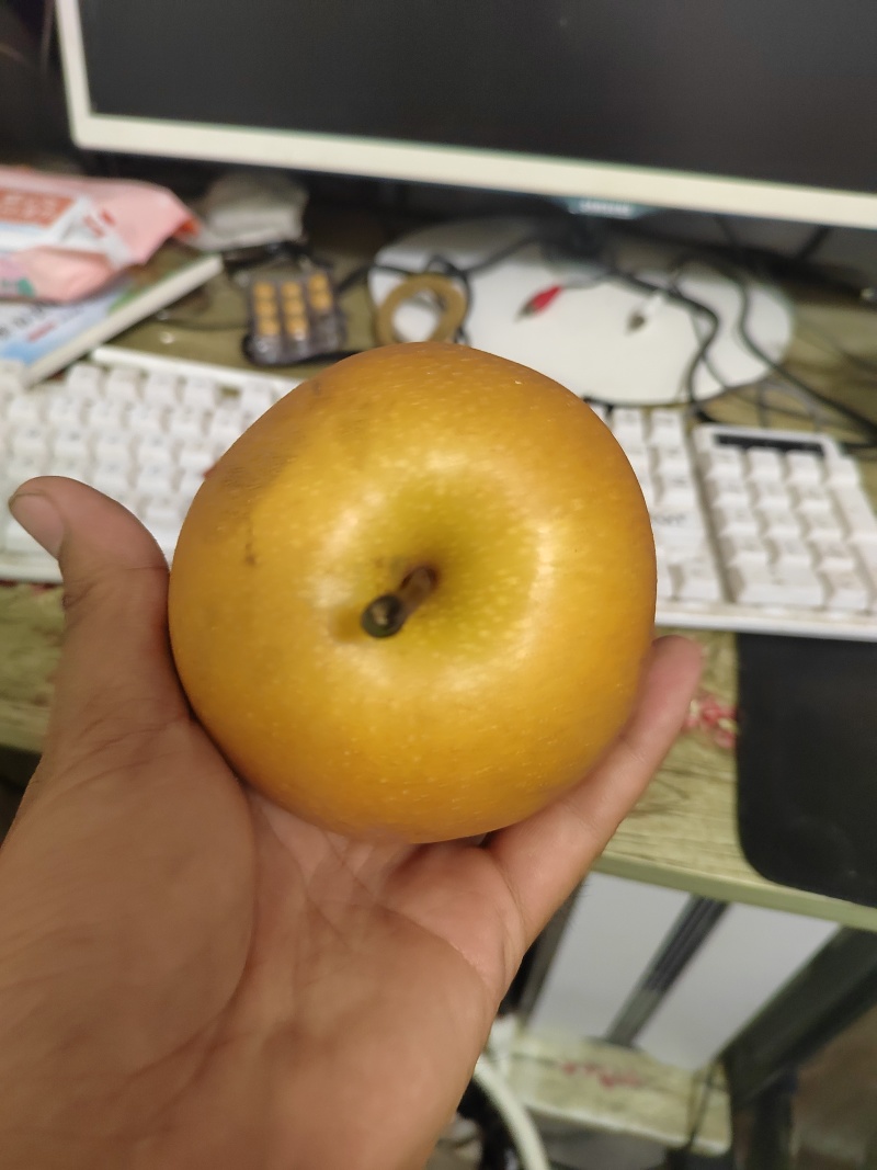 秋月梨
