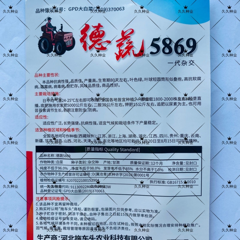 德蔬5869白菜种子冬储白菜种籽高产抗病耐寒秋播大