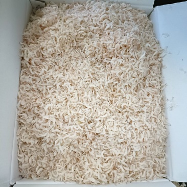 虾皮