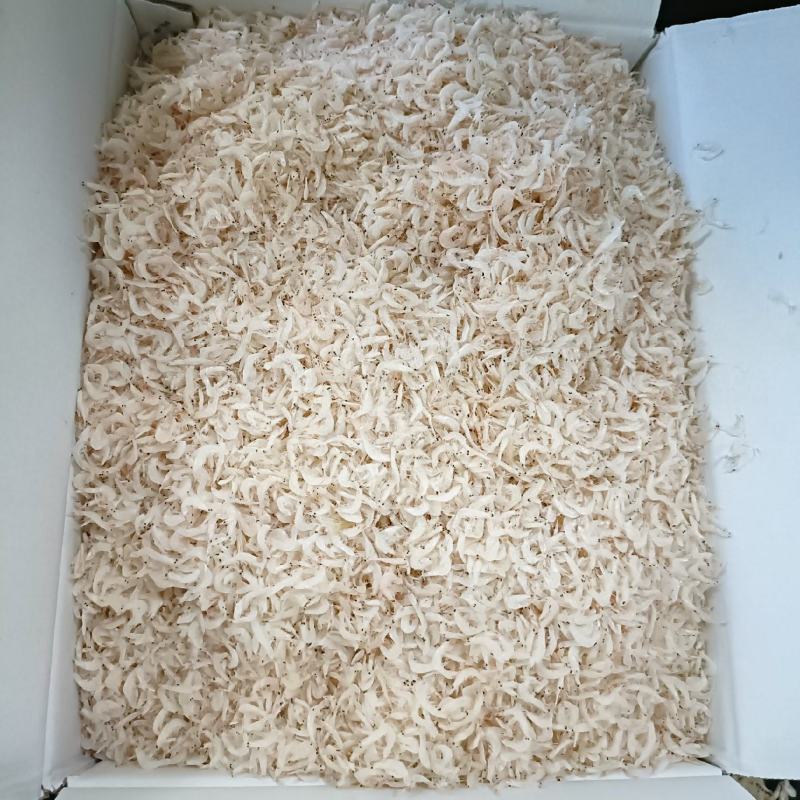 虾皮