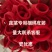 皮筋各种蔬菜专用皮筋厂家直供规格齐全品质保证全国发