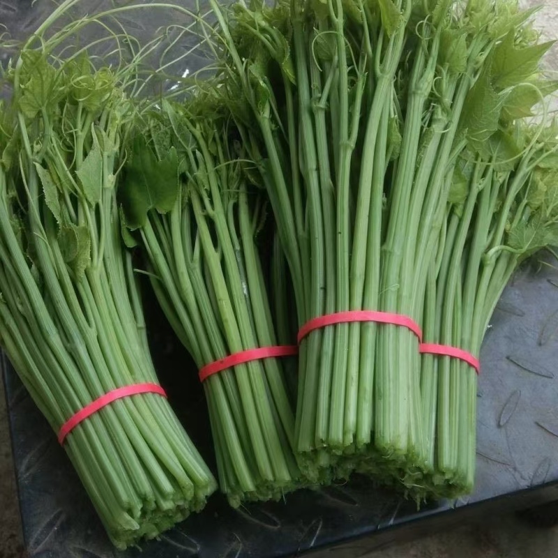 皮筋各种蔬菜专用皮筋厂家直供规格齐全品质保证全国发
