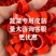 皮筋各种蔬菜专用皮筋厂家直供规格齐全品质保证全国发