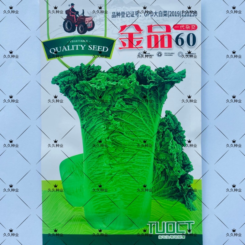 金品60大白菜种子早熟高产白菜种籽品质鲜嫩农家夏秋
