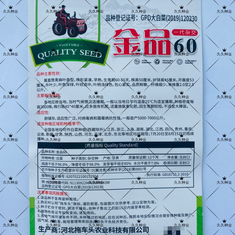 金品60大白菜种子早熟高产白菜种籽品质鲜嫩农家夏秋