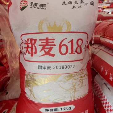 郑麦618小麦种子：原厂第一代原产量高、扛倒、抗病