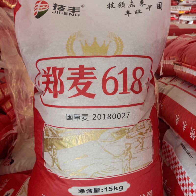 郑麦618小麦种子：原厂第一代原产量高、扛倒、抗病