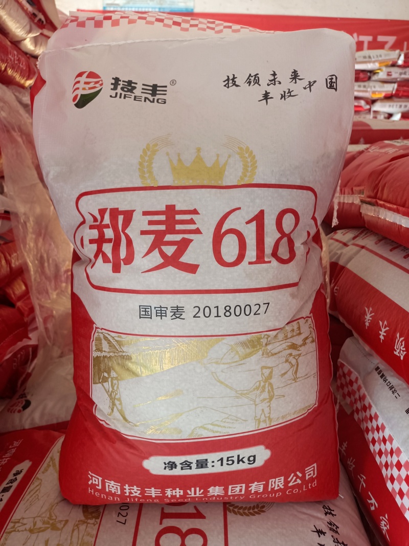 郑麦618小麦种子：原厂第一代原产量高、扛倒、抗病