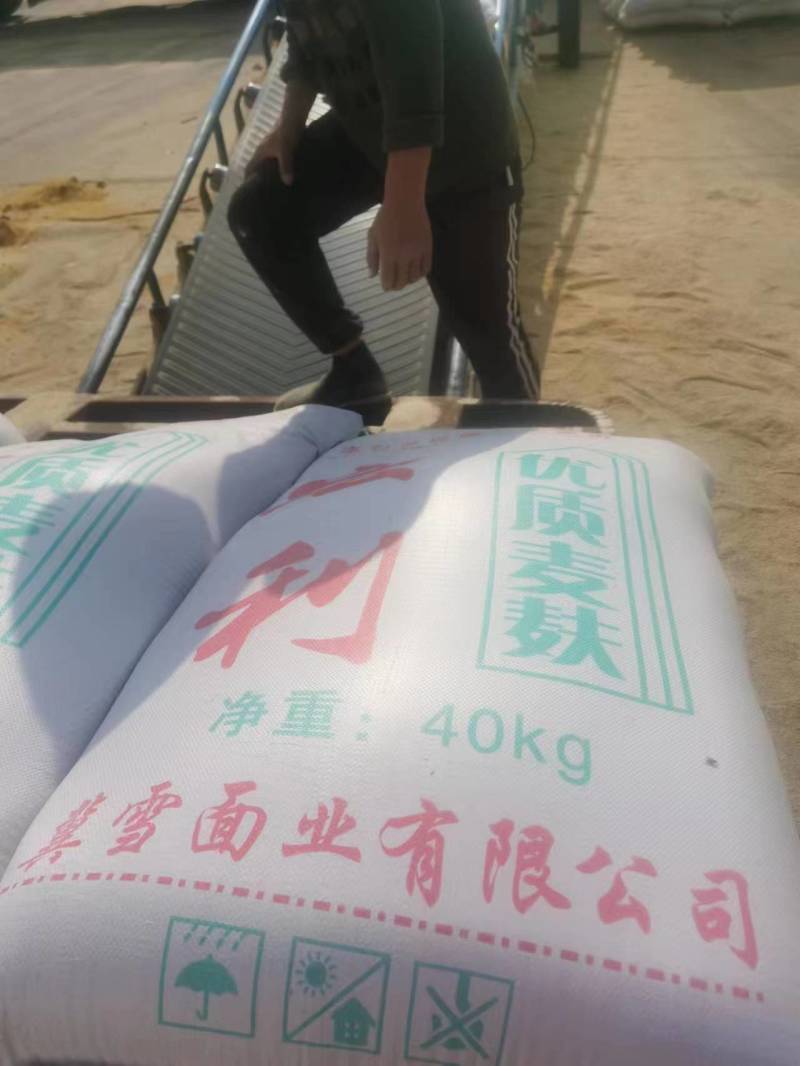 厂家供应麦麸麦麸皮大中细麦麸种植蘑菇养殖饲料厂全国发货