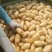 希森土豆陕北土豆黄皮黄心规格齐全量大从优全国发货