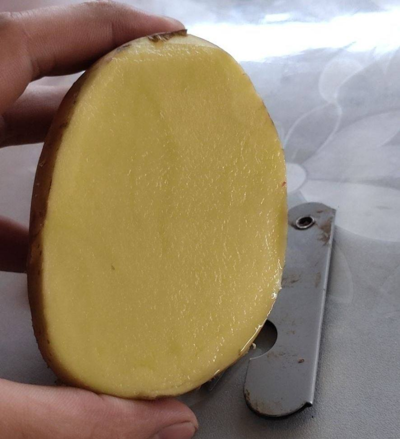 希森土豆陕北土豆黄皮黄心规格齐全量大从优全国发货