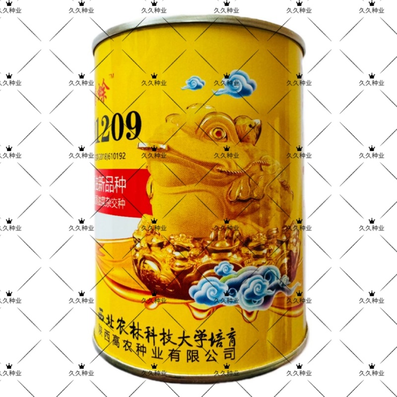 陕油1209油菜种子油菜籽榨油油菜花种子矮杆抗倒伏机收