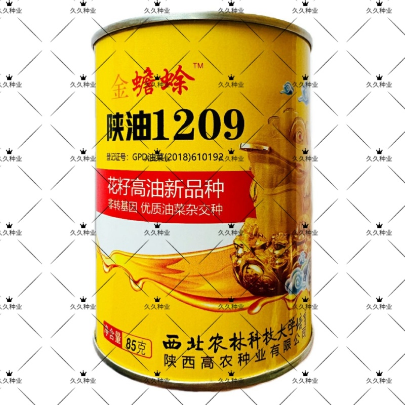 陕油1209油菜种子油菜籽榨油油菜花种子矮杆抗倒伏机收
