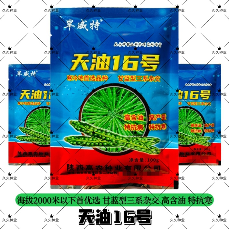 天油16油菜种子各地专用早熟矮杆高产高油高耐寒抗病抗倒伏