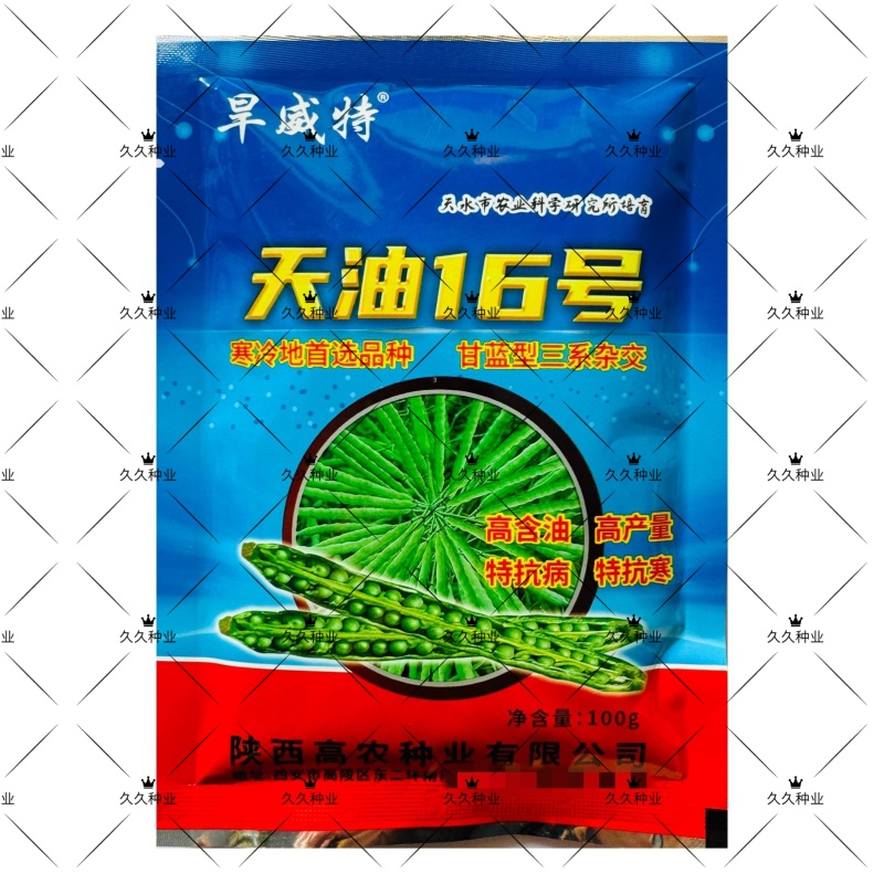 天油16油菜种子各地专用早熟矮杆高产高油高耐寒抗病抗倒伏