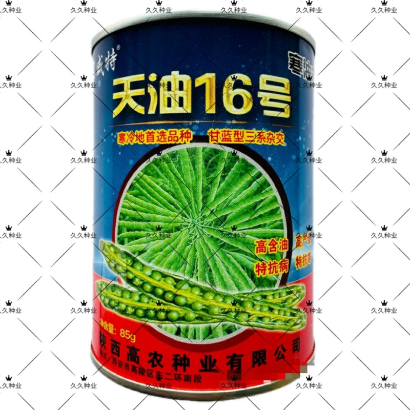 天油16号特矮油菜种子高产高油矮杆抗寒抗倒伏农家秋季
