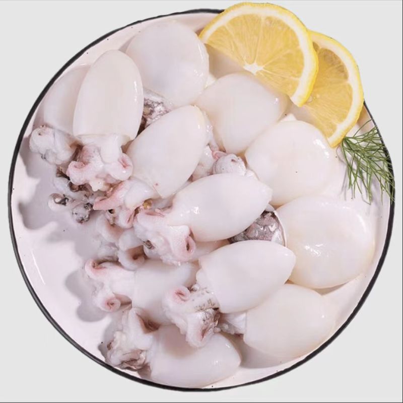 墨鱼仔，单冻鲜活墨鱼仔去皮去内脏，饭店捞汁食材